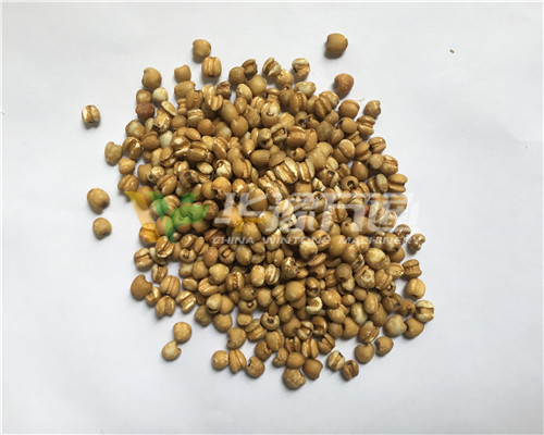 河南漯河60噸玉米制糝制粉成套項(xiàng)目